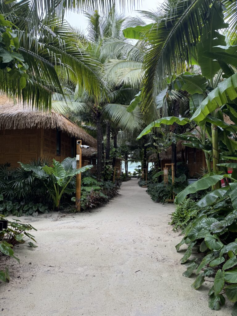 Phi Phi Coco Beach Resort tropical bungalow overview